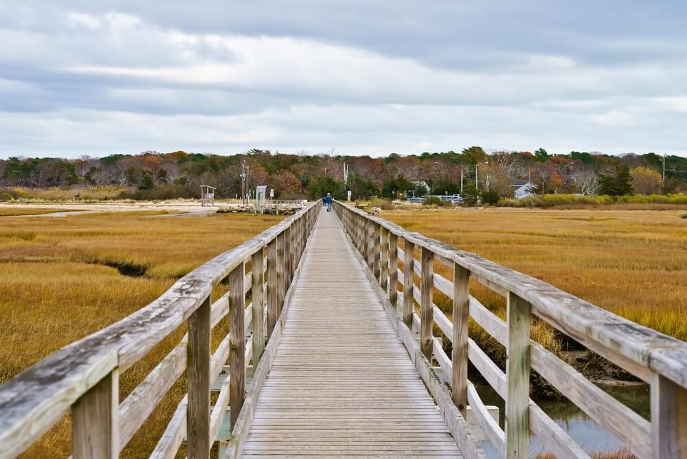 A path to explore near West Dennis, one of the top outdoor things to do on Cape Cod.